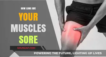 Understanding Muscle Soreness Duration: How Long Does the Pain Last?