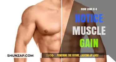 When Will You Notice Muscle Gain? A Timeline for Results