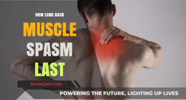 Understanding the Duration of Back Muscle Spasms: A Comprehensive Guide