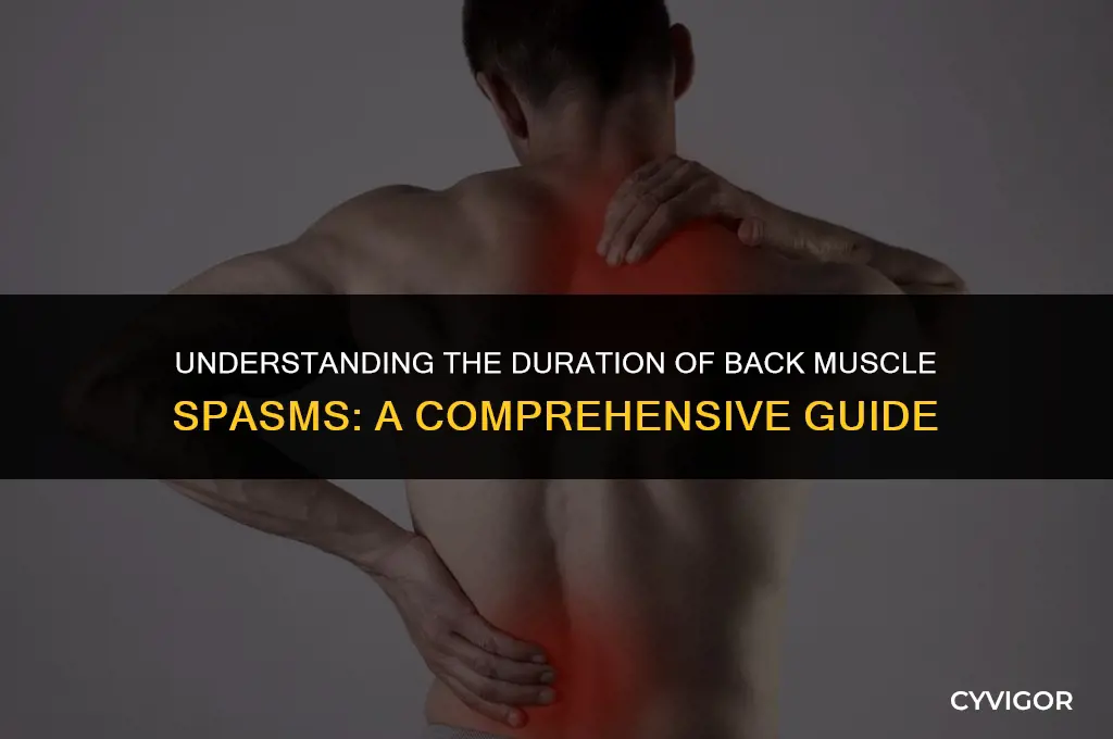 how long back muscle spasm last