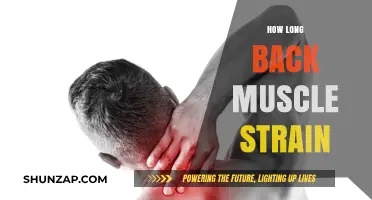Understanding the Recovery Timeline for Back Muscle Strains