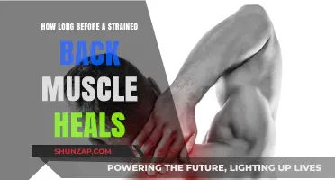 Back to Normal: The Healing Timeline for Strained Back Muscles
