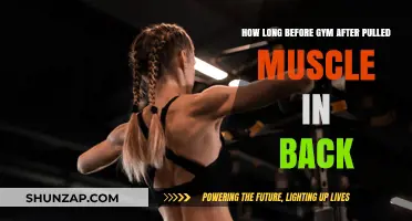 Pulled Back Muscle Recovery: Safe Gym Return Timeline and Tips