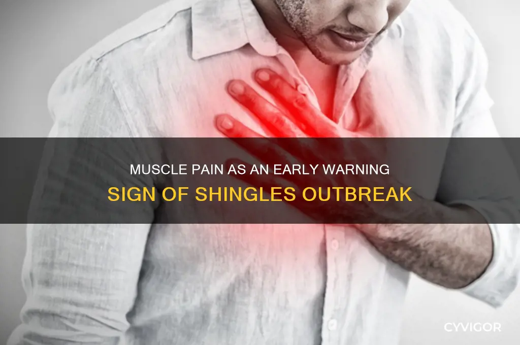 how long before shingles outbreak isthere muscle pain