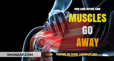Sore Muscles Recovery Time: How Long Until the Pain Subsides?
