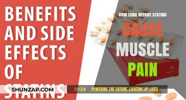 Statins and Muscle Pain: What's the Timeline?