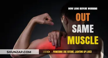 Optimal Muscle Recovery: Timing Your Workouts for Maximum Results