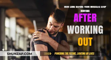 Post-Workout Muscle Soreness: When Will the Pain Finally Subside?