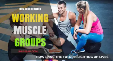 Optimal Rest Days: How Long Between Working Muscle Groups?