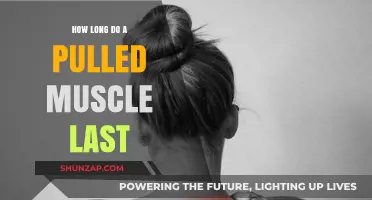 Pulled Muscle Recovery Timeline: What to Expect and How to Heal