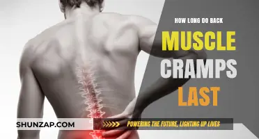 Understanding Back Muscle Cramps: Duration and Relief Tips
