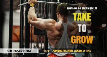 Unlocking Back Muscle Growth: A Comprehensive Guide