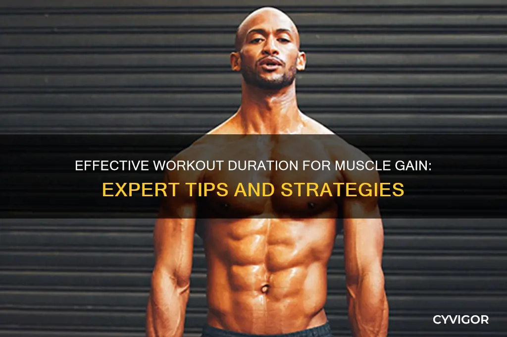 how long do i exercise to gain muscle