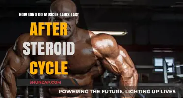 How Long Do Muscle Gains Last Post-Steroid Cycle?
