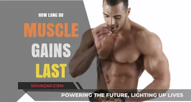 How Long Do Muscle Gains Last? Understanding Retention and Maintenance