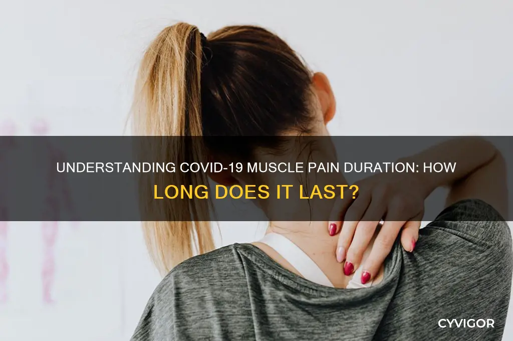 how long do muscle pains last with covid