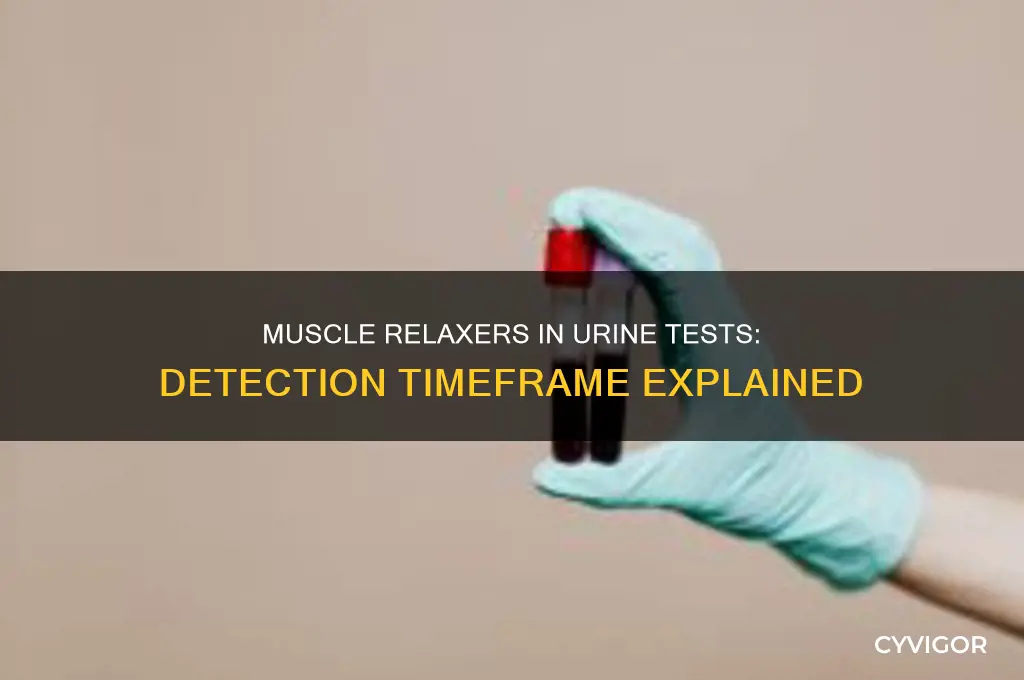 how long do muscle relaxers show in a urine test