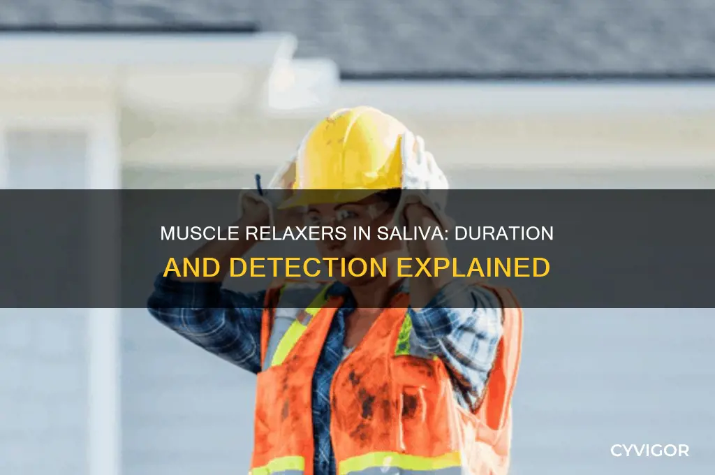 how long do muscle relaxers stay in the saliva