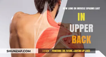 Understanding Upper Back Muscle Spasms: Duration and Relief Tips