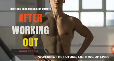Muscle Pump Duration: How Long Does Post-Workout Swelling Last?