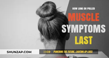 Pulled Muscle Recovery Timeline: Symptoms Duration and Healing Process Explained
