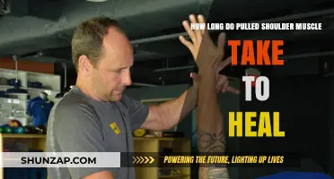 Pulled Shoulder Muscle Recovery Time: Healing Process and Timeline Explained