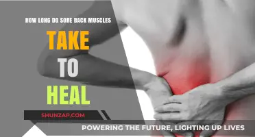 Healing Timeline: How Long Does Sore Back Muscle Recovery Take?