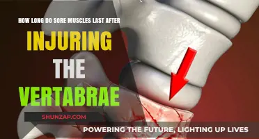 Recovering from Vertebrae Injuries: Understanding Sore Muscle Duration and Healing