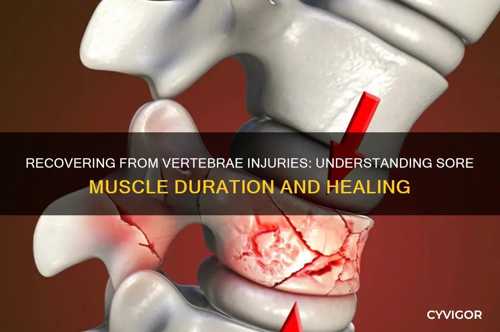 how long do sore muscles last after injuring the vertabrae