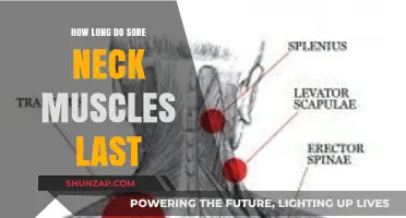 How Long Does Neck Muscle Soreness Typically Last and Heal?