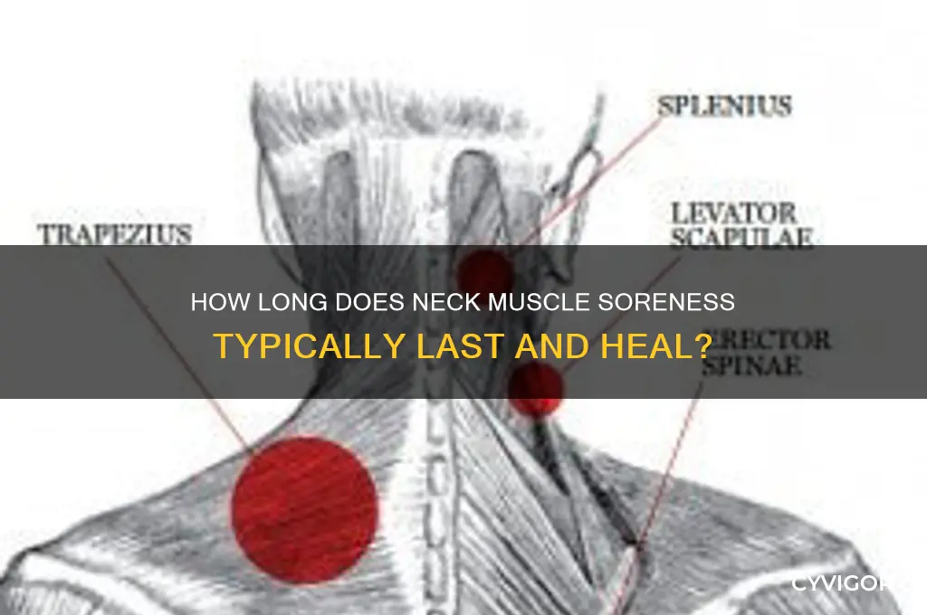 how long do sore neck muscles last