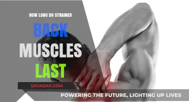 Understanding Strained Back Muscles: Duration and Recovery Tips