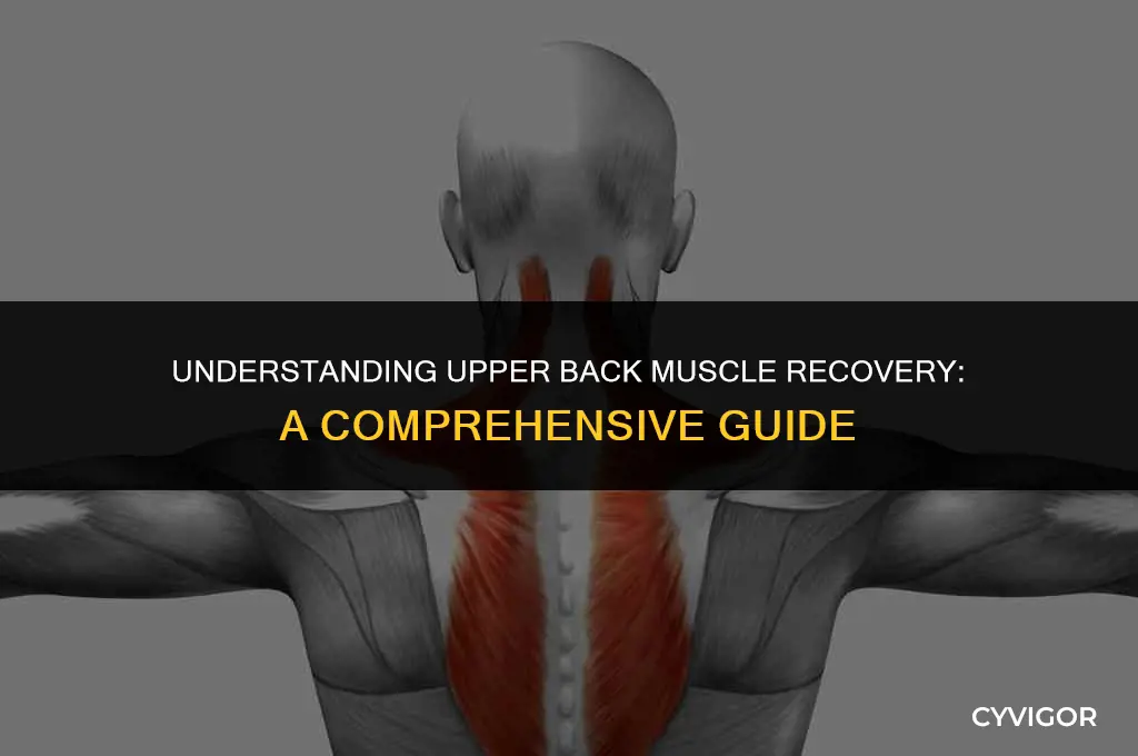 how long do upper back muscles take to heal