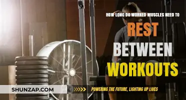 Optimal Muscle Recovery: Rest Time Between Workouts Explained