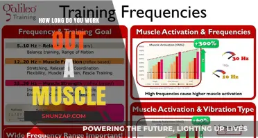 Optimal Muscle Training Frequency: How Long Should You Work Out?