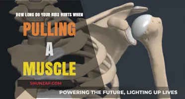 Rib Muscle Strain Recovery: How Long Does Rib Pain Last?