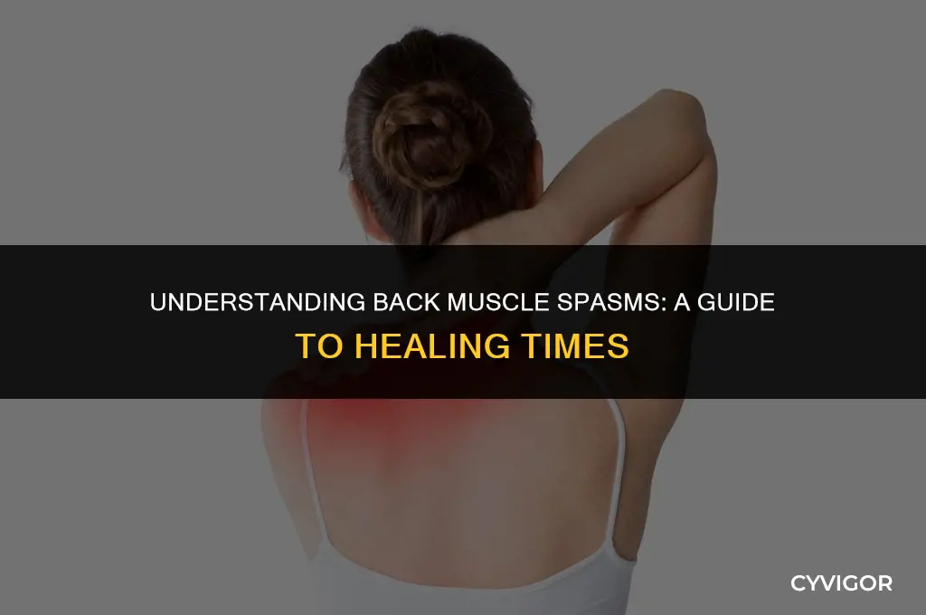 how long does a back muscle spasm take to heal