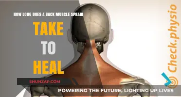 Back Muscle Sprain Recovery: A Comprehensive Healing Timeline