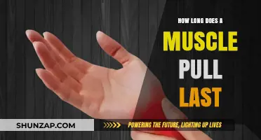 Understanding Muscle Pull Recovery: Duration and Healing Timeline Explained
