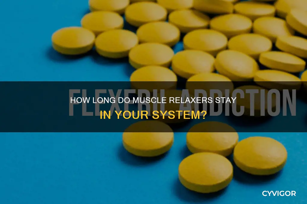 how long does a muscle relaxer syay in you sysrem