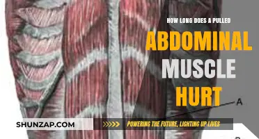 Pulled Abdominal Muscle Pain: Duration and Recovery Timeline Explained
