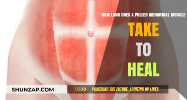 Pulled Abdominal Muscle Recovery Time: What to Expect and How to Heal