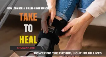 Pulled Ankle Muscle Recovery Time: What to Expect and How to Heal