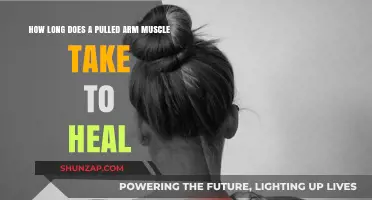 Pulled Arm Muscle Recovery Time: Healing Process and Timeline Explained