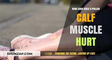 Pulled Calf Muscle Pain: Duration, Recovery, and Relief Explained