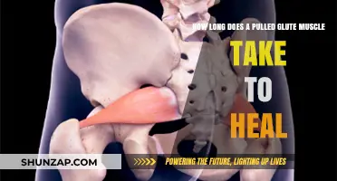Pulled Glute Muscle Recovery Time: Healing Process and Timeline Explained