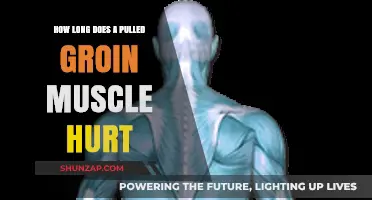 Pulled Groin Muscle Pain: Duration, Recovery, and Relief Explained
