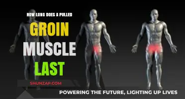 Pulled Groin Muscle Recovery Time: What to Expect and How to Heal