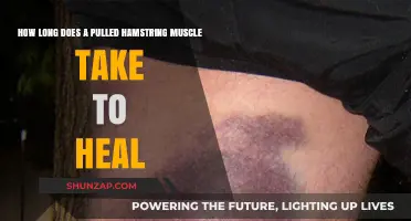 Pulled Hamstring Recovery Time: Healing Process and Timeline Explained