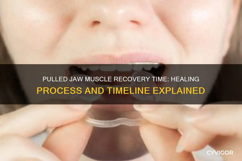 how long does a pulled jaw muscle take to heal